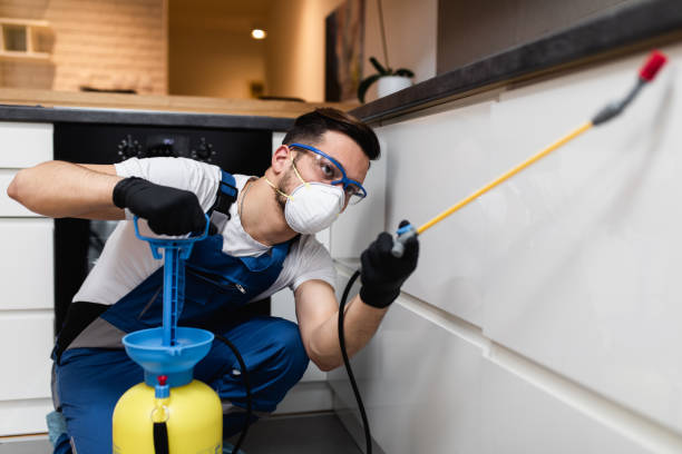 Best Pest Prevention Services  in Millen, GA