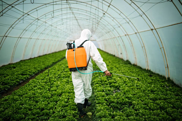 Best Pest Control Near Me in Millen, GA