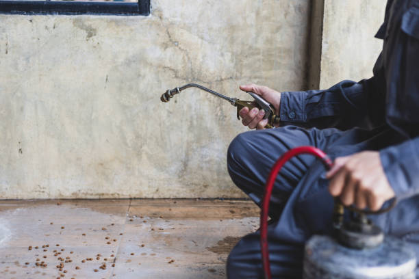 Best Best Pest Control Companies  in Millen, GA